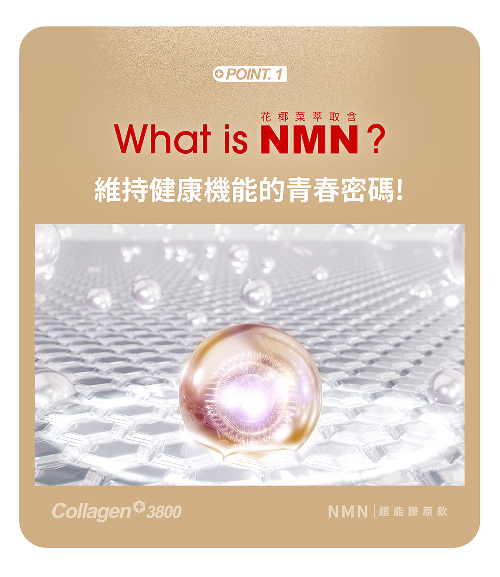 M2輕量方 - 22Lab【美度】膠原蛋白NMN超能膠原飲 (7入/盒)