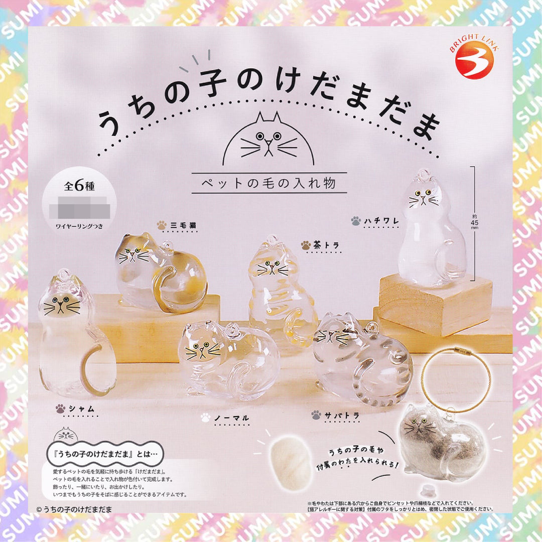 Bright Link 扭蛋 - 貓毛收納 透明貓貓吊飾(隨機1款)