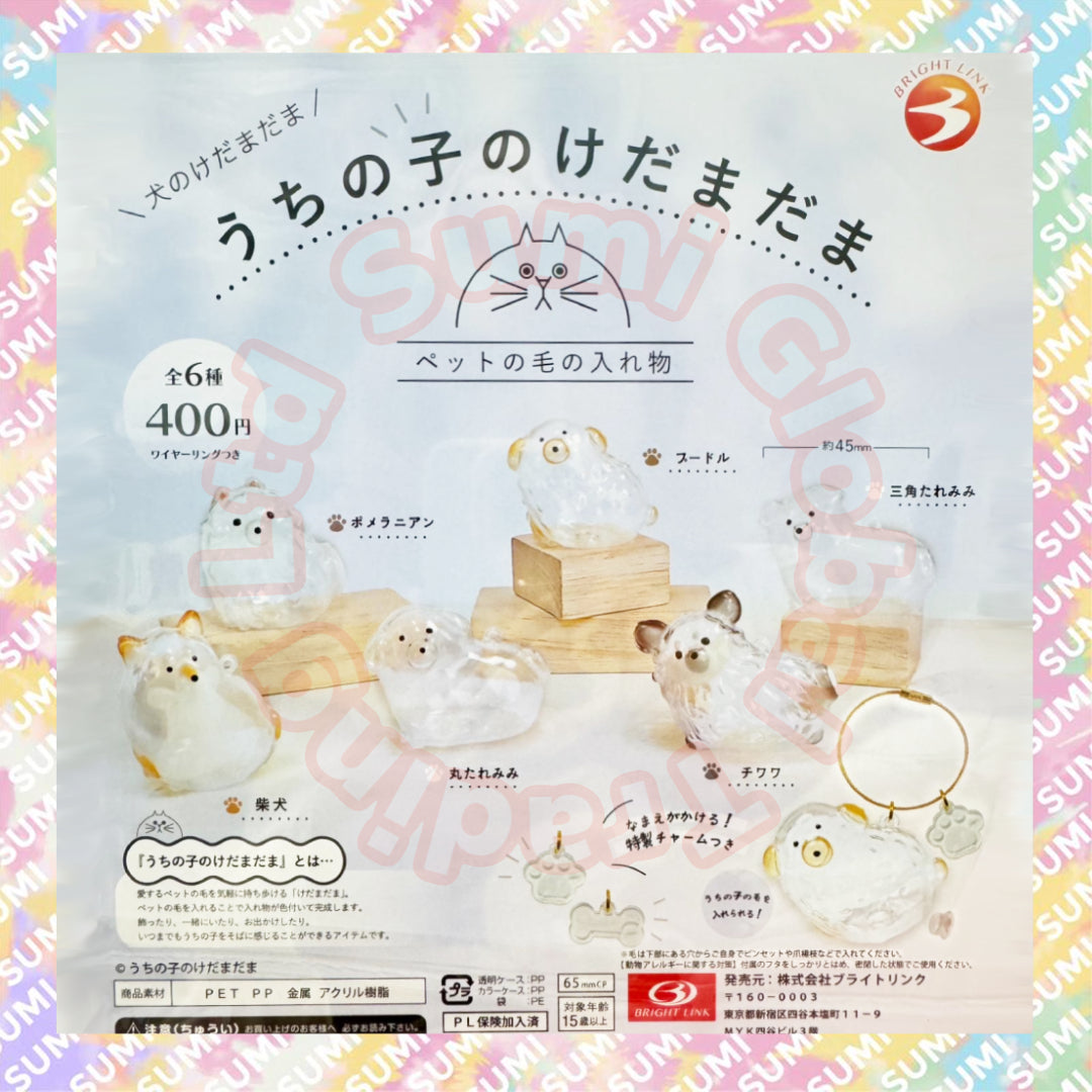 Bright Link 扭蛋 - 犬毛收納 透明狗狗吊飾(隨機1款)
