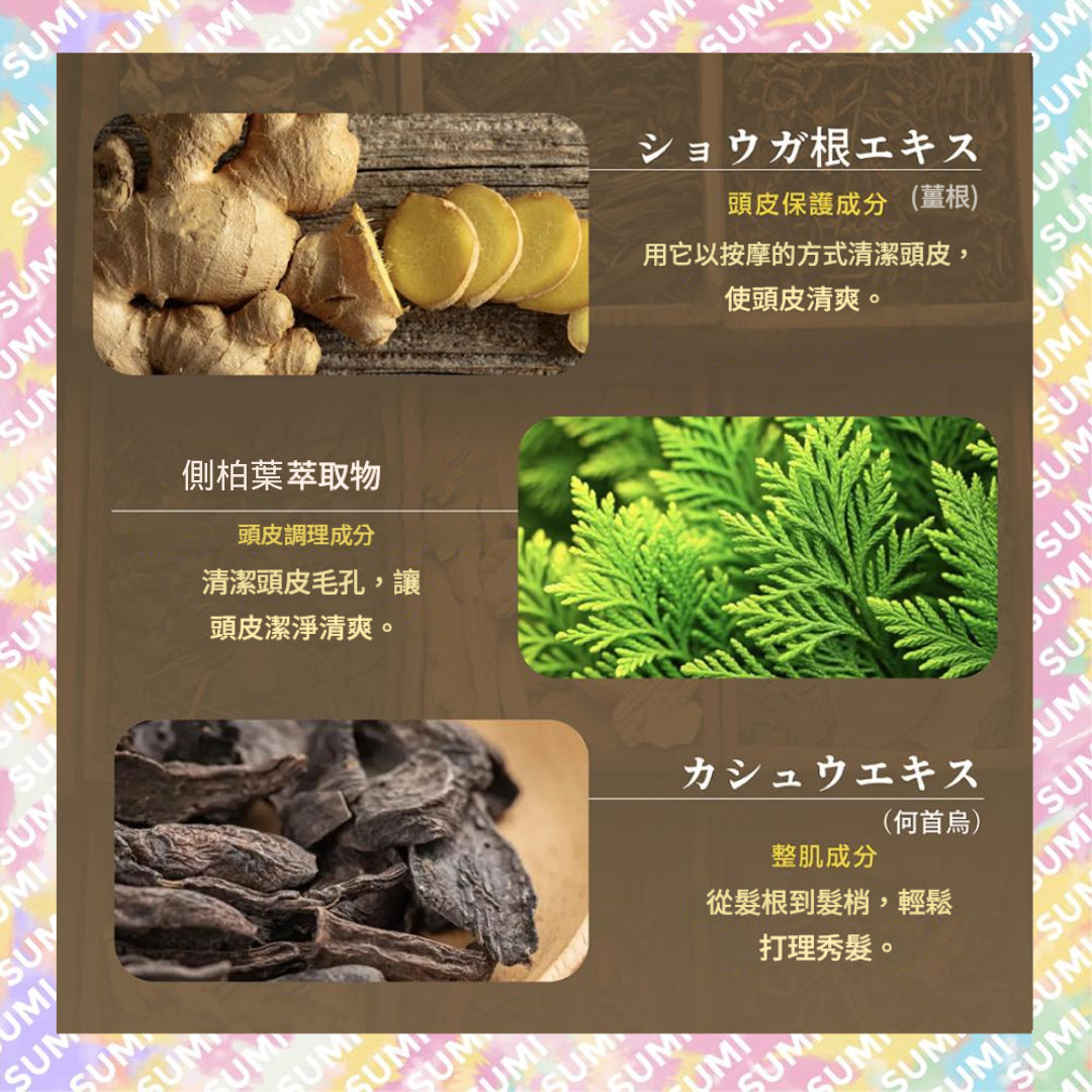 王子製藥 - Seika 全浸透全效洗髮精 400ml (4580536763243)